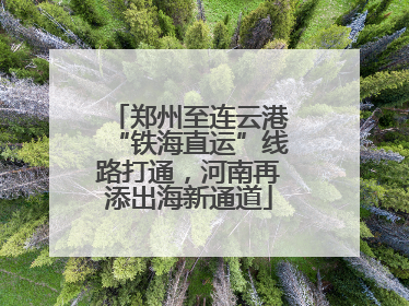 郑州至连云港“铁海直运”线路打通，河南再添出海新通道