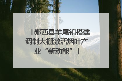 郧西县羊尾镇搭建调制大棚激活烟叶产业“新动能”