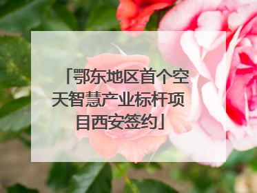 鄂东地区首个空天智慧产业标杆项目西安签约