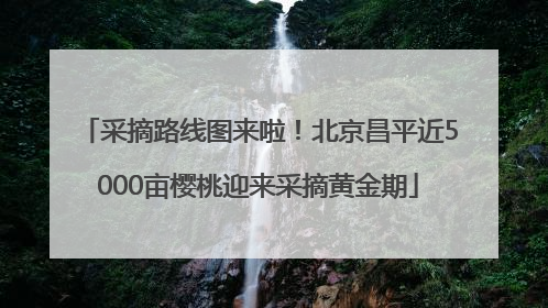 采摘路线图来啦！北京昌平近5000亩樱桃迎来采摘黄金期