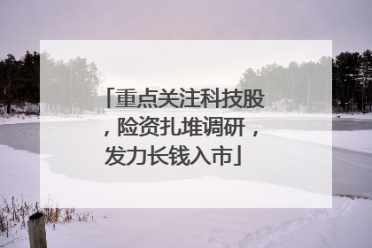 重点关注科技股，险资扎堆调研，发力长钱入市
