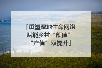 重塑湿地生命网络 赋能乡村“颜值”“产值”双提升