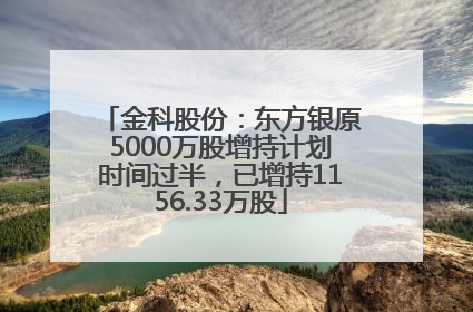 金科股份：东方银原5000万股增持计划时间过半，已增持1156.33万股
