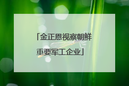 金正恩视察朝鲜重要军工企业