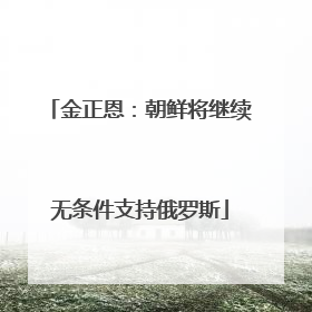 金正恩：朝鲜将继续无条件支持俄罗斯
