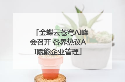 金蝶云苍穹AI峰会召开 各界热议AI赋能企业管理