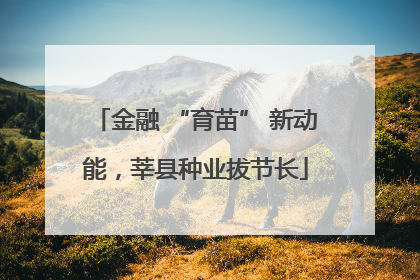 金融 “育苗” 新动能，莘县种业拔节长