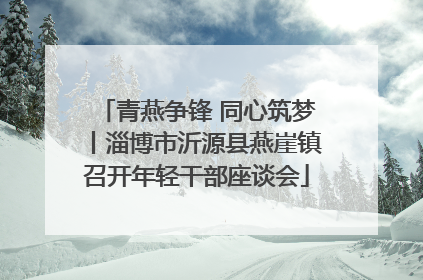 青燕争锋 同心筑梦丨淄博市沂源县燕崖镇召开年轻干部座谈会