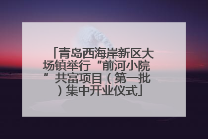 青岛西海岸新区大场镇举行“前河小院”共富项目（第一批）集中开业仪式