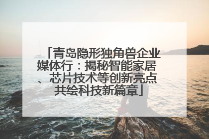 青岛隐形独角兽企业媒体行：揭秘智能家居、芯片技术等创新亮点 共绘科技新篇章