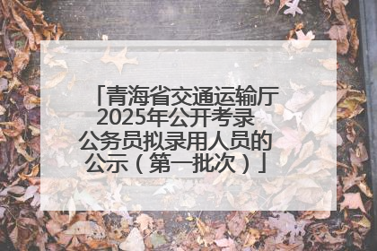 青海省交通运输厅2025年公开考录公务员拟录用人员的公示(第一批次)