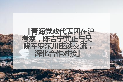 青海党政代表团在沪考察，陈吉宁龚正与吴晓军罗东川座谈交流，深化合作对接