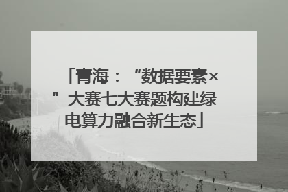 青海：“数据要素×”大赛七大赛题构建绿电算力融合新生态