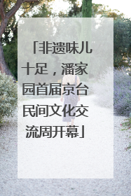 非遗味儿十足，潘家园首届京台民间文化交流周开幕