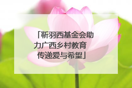 靳羽西基金会助力广西乡村教育 传递爱与希望