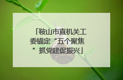 鞍山市直机关工委锚定“五个聚焦”抓党建促振兴