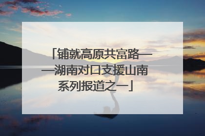 铺就高原共富路——湖南对口支援山南系列报道之一