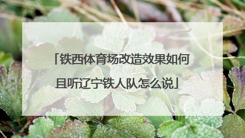 铁西体育场改造效果如何 且听辽宁铁人队怎么说