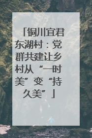 铜川宜君东湖村：党群共建让乡村从“一时美”变“持久美”