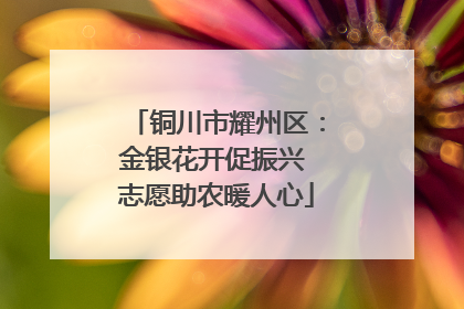 铜川市耀州区：金银花开促振兴 志愿助农暖人心