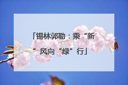 锡林郭勒：乘“新”风向“绿”行