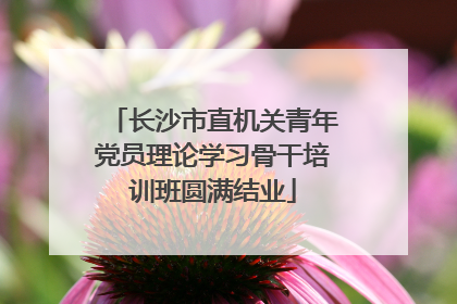 长沙市直机关青年党员理论学习骨干培训班圆满结业