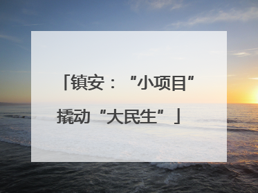 镇安：“小项目”撬动“大民生”