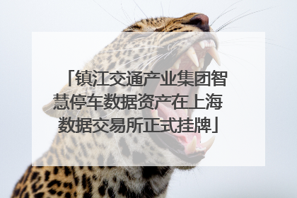 镇江交通产业集团智慧停车数据资产在上海数据交易所正式挂牌