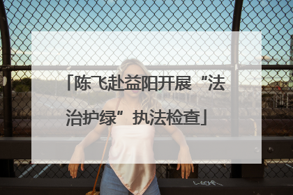 陈飞赴益阳开展“法治护绿”执法检查