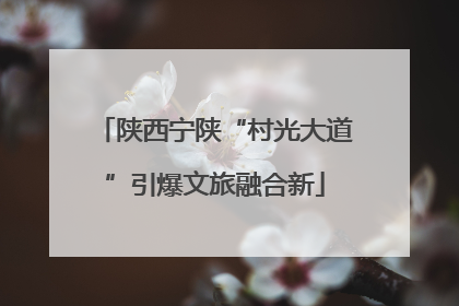 陕西宁陕“村光大道”引爆文旅融合新