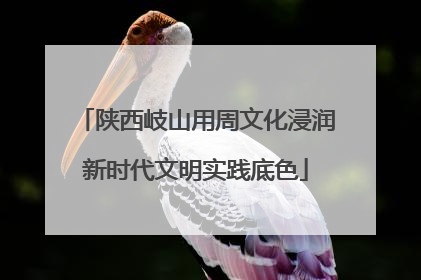 陕西岐山用周文化浸润新时代文明实践底色