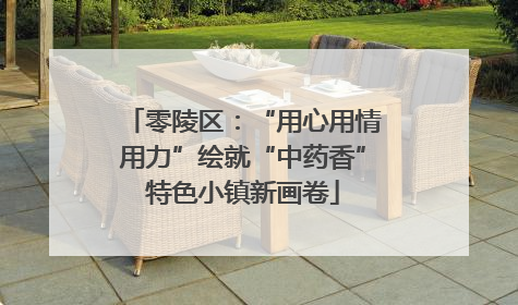 零陵区：“用心用情用力”绘就“中药香”特色小镇新画卷