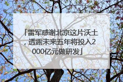 雷军感谢北京这片沃土，透露未来五年将投入2000亿元做研发