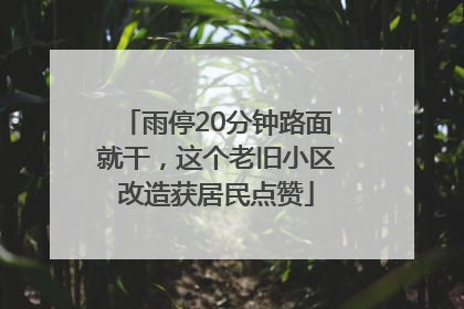 雨停20分钟路面就干，这个老旧小区改造获居民点赞