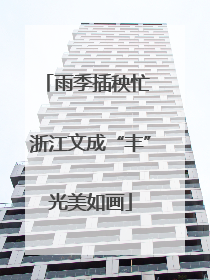 雨季插秧忙 浙江文成“丰”光美如画