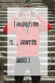 雨润万物生，湖畔舞翩跹