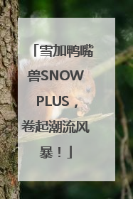雪加鸭嘴兽SNOWPLUS，卷起潮流风暴！