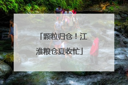颗粒归仓！江淮粮仓夏收忙
