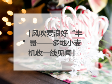 风吹麦浪好“丰”景——多地小麦机收一线见闻