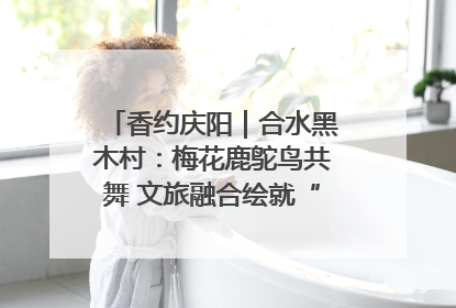 香约庆阳｜合水黑木村：梅花鹿鸵鸟共舞 文旅融合绘就“诗与远方”