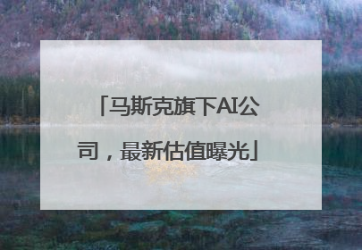 马斯克旗下AI公司，最新估值曝光