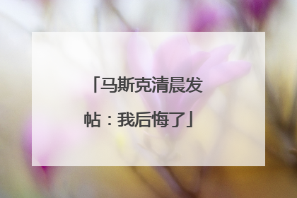马斯克清晨发帖：我后悔了
