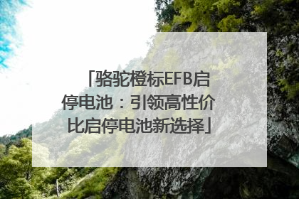 骆驼橙标EFB启停电池：引领高性价比启停电池新选择