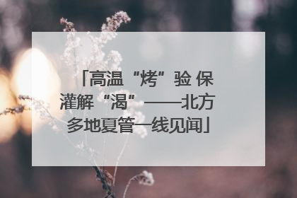 高温“烤”验 保灌解“渴”——北方多地夏管一线见闻