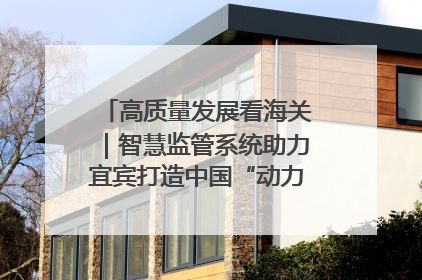 高质量发展看海关｜智慧监管系统助力宜宾打造中国“动力电池之都”