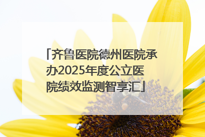 齐鲁医院德州医院承办2025年度公立医院绩效监测智享汇