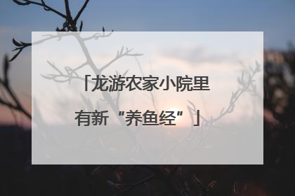 龙游农家小院里有新“养鱼经”