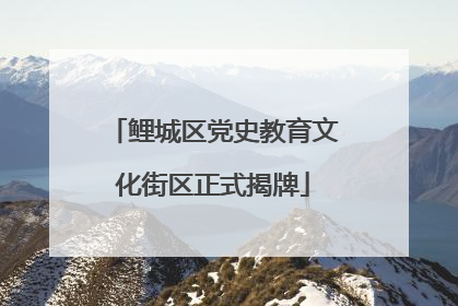 鲤城区党史教育文化街区正式揭牌
