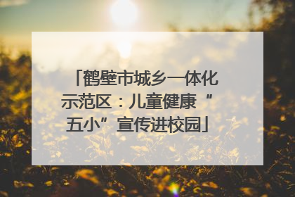 鹤壁市城乡一体化示范区：儿童健康“五小”宣传进校园