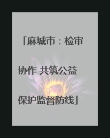 麻城市：检审协作 共筑公益保护监督防线